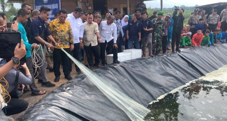 Gubernur Ansar Apresiasi Budidaya Udang Vaname di Desa Tinjul