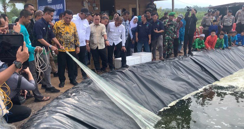 Gubernur Ansar Apresiasi Budidaya Udang Vaname di Desa Tinjul