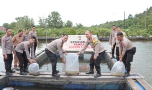 Pemulihan Ekonomi Nasional, Kapolres Lingga Tebar 6000 Benih Ikan