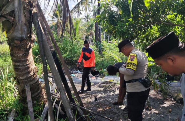 Wabah Ulat Bulu Kembali Serang Pemukiman Desa Kote