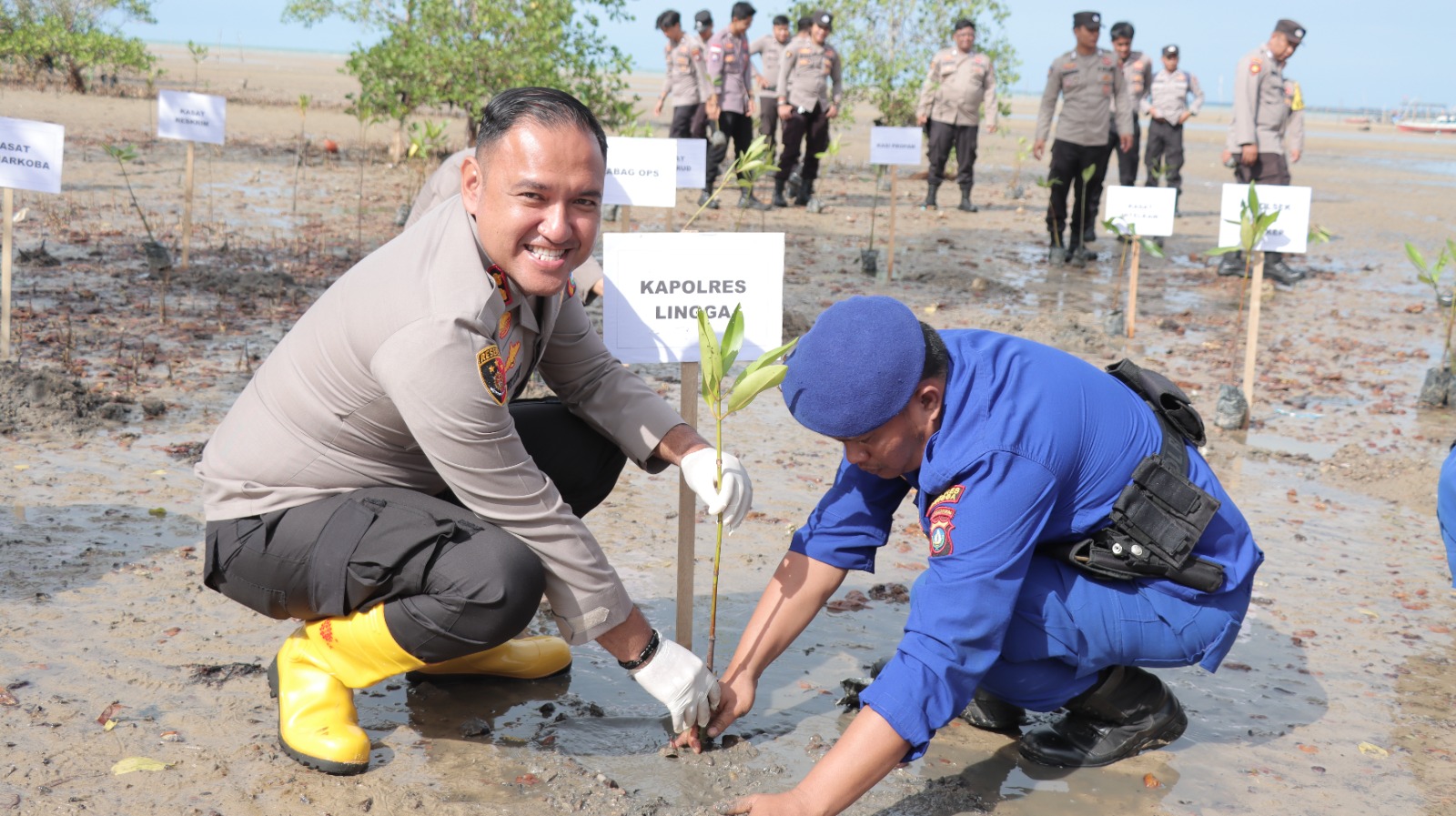 Semarak Hari Bhayangkara ke-78, Polres Lingga Tanam Pohon Mangrove di Kecamatan Singkep