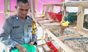 Bripka Doni Firmansyah, Bhabinkamtibmas Desa Tanjung Harapan, Kecamatan Singkep, yang menggagas program peternakan burung puyuh (foto: ist)