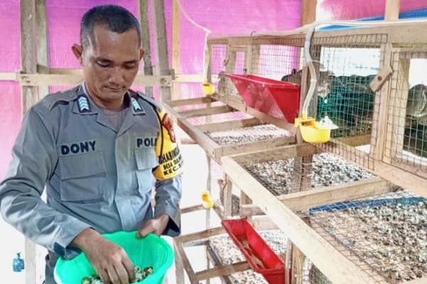 Bripka Doni Firmansyah, Bhabinkamtibmas Desa Tanjung Harapan, Kecamatan Singkep, yang menggagas program peternakan burung puyuh (foto: ist)