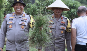 Polres Lingga Luncurkan Penanaman Padi 100 Hektar Dukung Ketahanan Pangan dan ASTA CITA | fotografer: ist