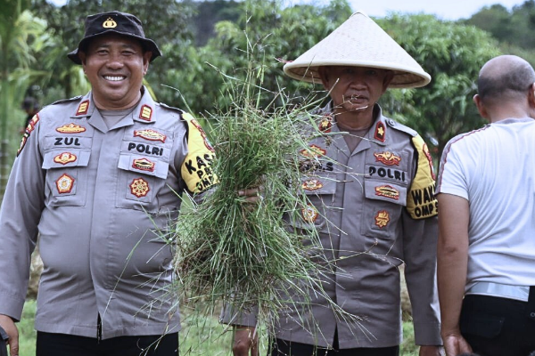 Polres Lingga Luncurkan Penanaman Padi 100 Hektar Dukung Ketahanan Pangan dan ASTA CITA | fotografer: ist