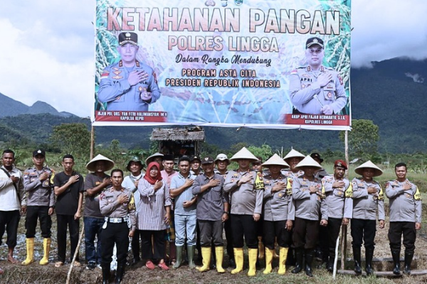 Polres Lingga Luncurkan Penanaman Padi 100 Hektar Dukung Ketahanan Pangan dan ASTA CITA | fotografer: ist