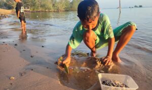 Isi Libur Akhir Pekan dengan Kegiatan Menyenangkan: Mencari Remis di Pantai Desa Tanjung Harapan | f. Eko