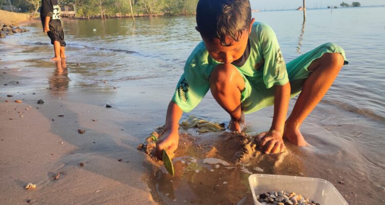 Isi Libur Akhir Pekan dengan Kegiatan Menyenangkan: Mencari Remis di Pantai Desa Tanjung Harapan | f. Eko