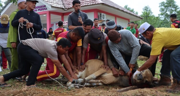 Polres Lingga Laksanakan Pemotongan Hewan Kurban Sambut Idul Adha 1446 H