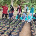 ASN Singkep Barat Tanam 350 Cabai Dukung Ketahanan Pangan