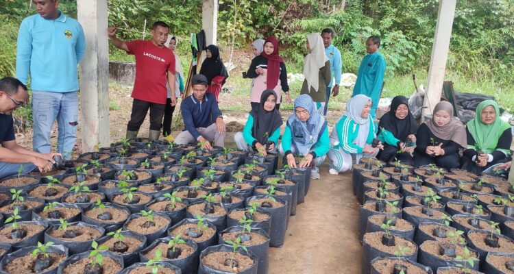 ASN Singkep Barat Tanam 350 Cabai Dukung Ketahanan Pangan