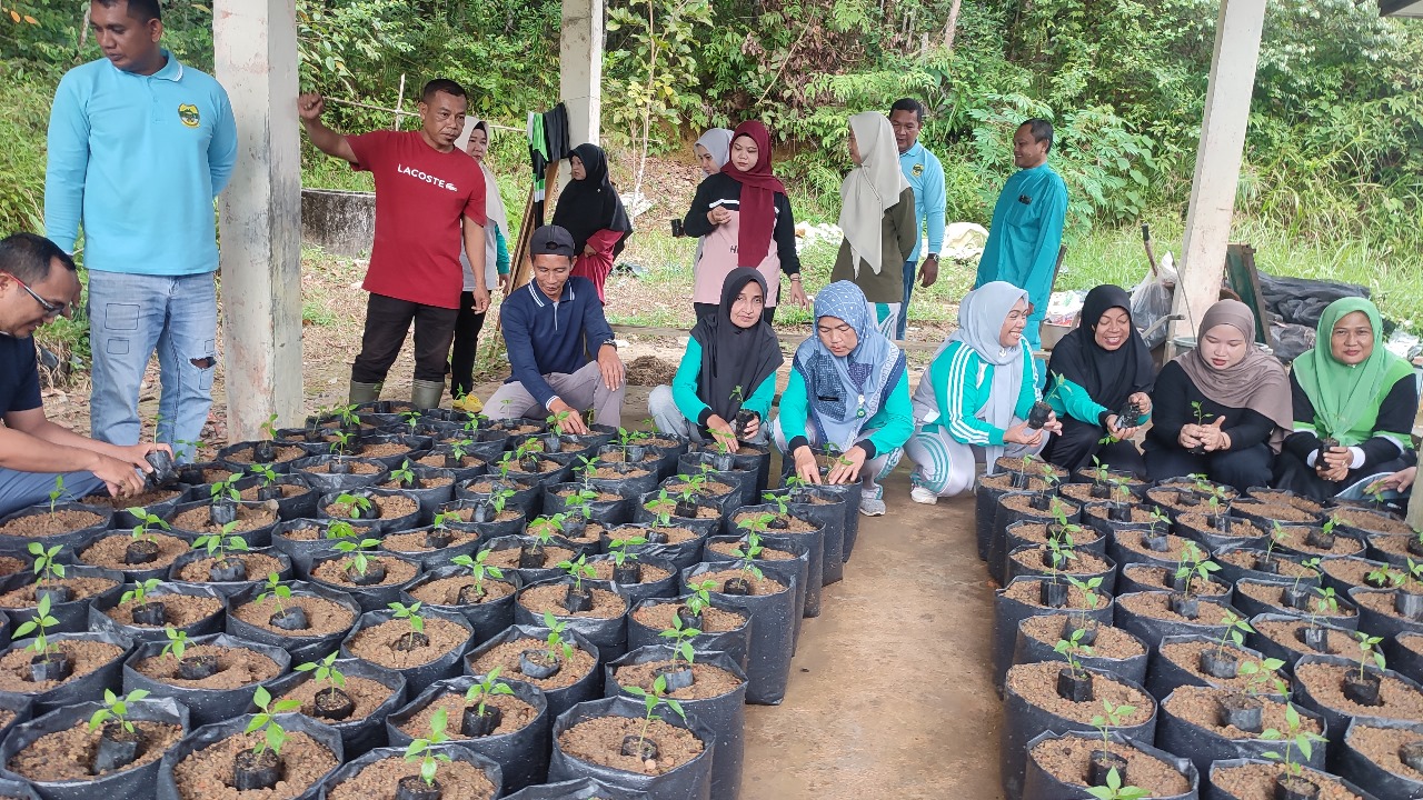 ASN Singkep Barat Tanam 350 Cabai Dukung Ketahanan Pangan