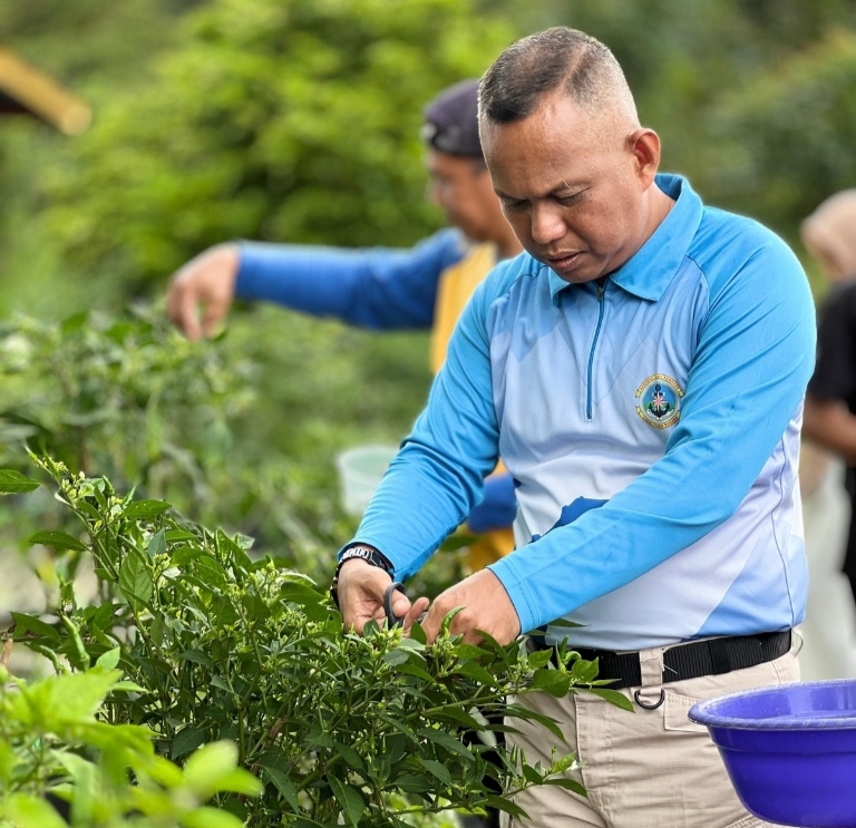 Barenlitbang Lingga manfaatkan lahan kantor untuk bercocok tanam cabai rawit sebagai bentuk dukungan terhadap gerakan ketahanan pangan lokal dan ajakan PKK Kabupaten Lingga | f. Red