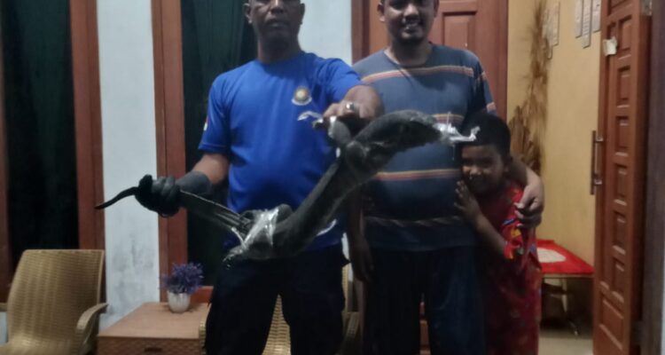 Petugas Damkar unit Dabo Singkep berhasil mengevakuasi Biawak besar yang masuk ke dalam rumah warga. F. Redaksi
