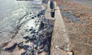 Kondisi batu miring di Desa Tanjung Harapan yang sudah rusak parah. F. Redaksi Kondisi batu miring di Desa Tanjung Harapan yang sudah rusak parah. F. Redaksi