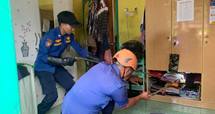 Petugas Damkar hampir digigit saat hendak mengevakuasi Ular King Kobra. F. Redaksi