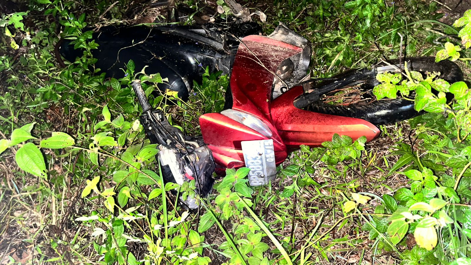 Motor Fajar Alif Setiawan, korban yang menabrak pohon tumbang. F. Redaksi