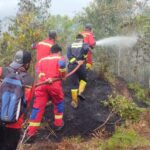 Petugas Damkar unit Dabo Singkep saat melakukan pemadaman api pada insiden kebakaran hutan Desa Lanjut. F. Redaksi