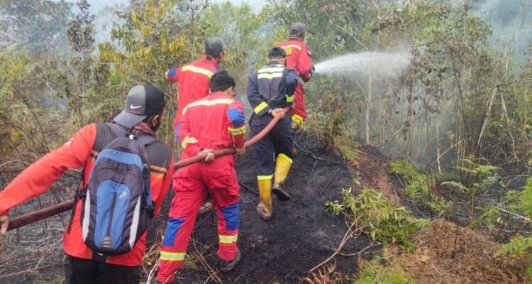 Petugas Damkar unit Dabo Singkep saat melakukan pemadaman api pada insiden kebakaran hutan Desa Lanjut. F. Redaksi