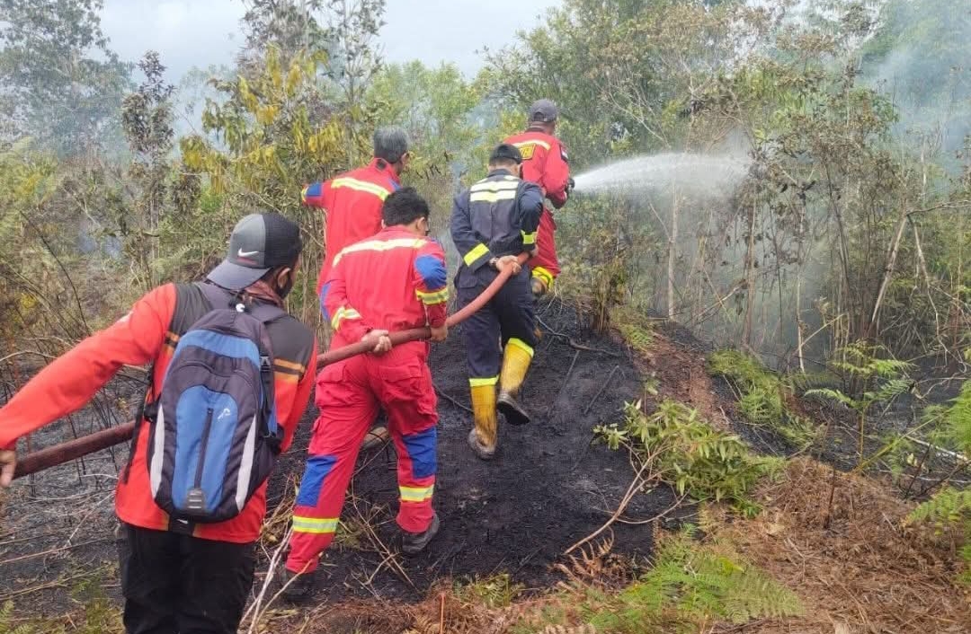 Petugas Damkar unit Dabo Singkep saat melakukan pemadaman api pada insiden kebakaran hutan Desa Lanjut. F. Redaksi