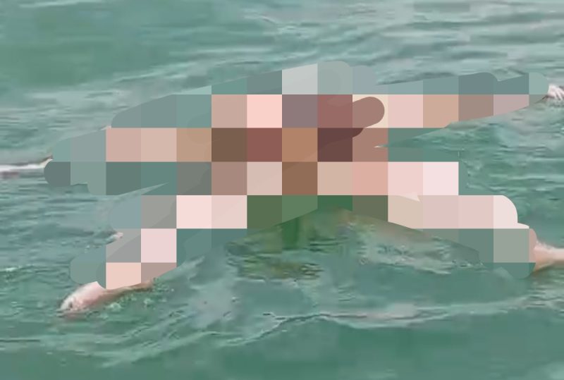 Mayat yang ditemukan mengapung di perairan Pulau Lalang. F. Redaksi