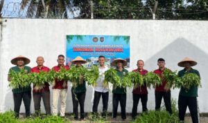 Warga binaan bersama petugas Lapas Kelas III Dabo Singkep saat melakukan panen di kebun kangkung. F. Redaksi