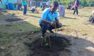 Disperindagkop UKM Lingga menanam 52 pohon kates dengan melibatkan seluruh pegawai. Program ini bertujuan memperkuat ketahanan pangan dan mendukung kebutuhan bahan baku MBG | f. Wandy